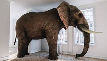¿Tenés un elefante en tu habitación y te negás a aceptarlo?